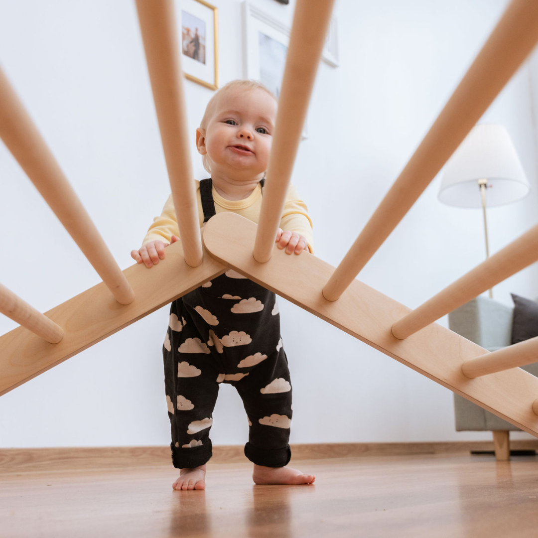 SIPITRI® • 2 segment climbing triangle with adjustable height